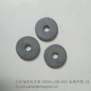 H09A.105.001 CAMSHAFT GEAR PLATE