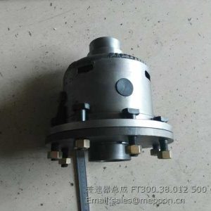 FT300.38.012 DIFFERENTIAL ASSY