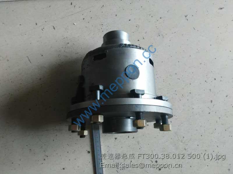FT300.38.012 DIFFERENTIAL ASSY