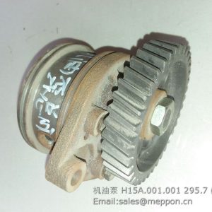 H15A.001.001 QUANCHAI OIL PUMP