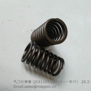 QC4110T-02004 Outer valve spring