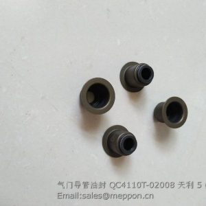 QC4110T-02008 QUANCHAI VALVE SEAL