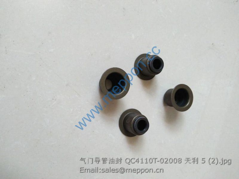 QC4110T-02008 QUANCHAI VALVE SEAL