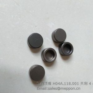 H04A.118.001 QUANCHAI VALVE SEAL