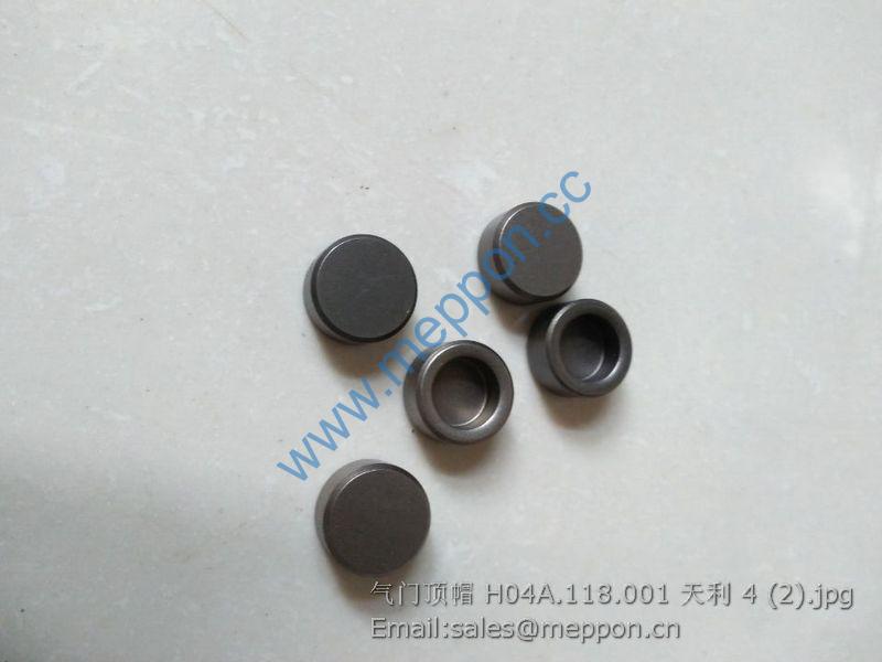 H04A.118.001 QUANCHAI VALVE SEAL