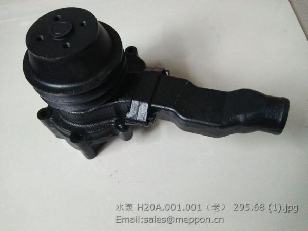 H20A.001.001 QUANCHAI WATER PUMP