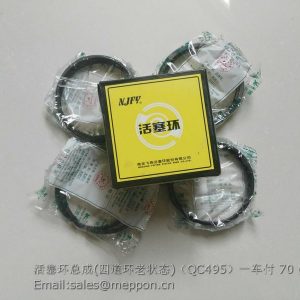 QC495 PISTON RING QC495Q(DI)-04004 QC495Q(DI)-04005 QC495Q(DI)-04004