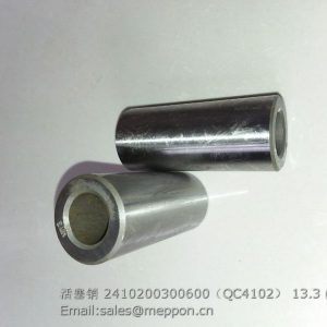 2410200300600 QC4102 QUANCHAI PISTON PIN 4102Q-03006