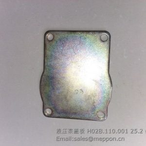 H02B.110.001 pump cover plate