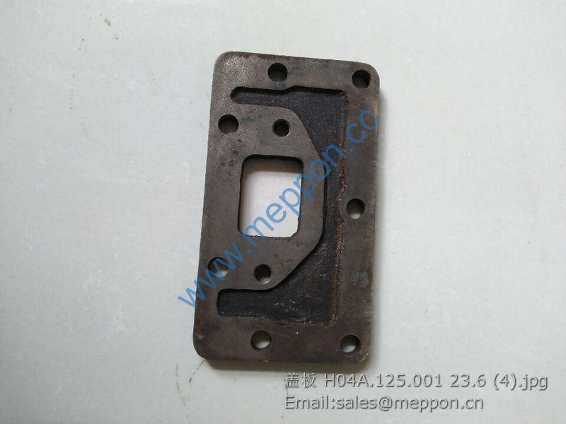 H04A.125.001 COVER Z490 PARTS