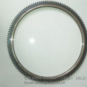 H06B-101-002 GEAR RING QUANCHAI TIANLI