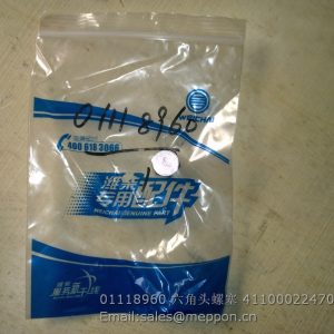 01118960 PLUG WEICHAI 4110002247063