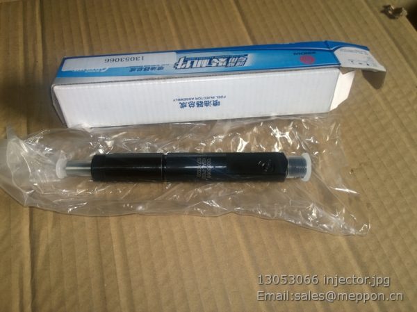 13053066 injector weichai deutz