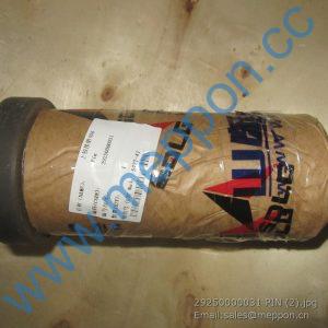 29250000031 PIN SDLG