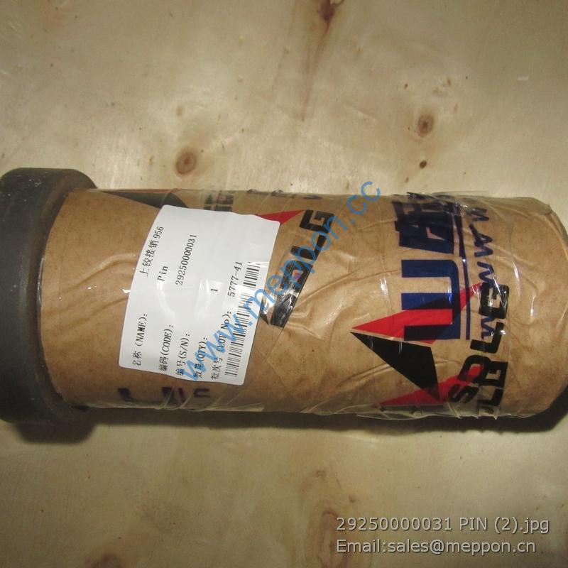 29250000031 PIN SDLG