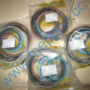 4120002263101 SEALING MEMBER AGGREGATE SDLG