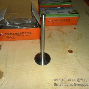 495B-03014 xinchai valve in