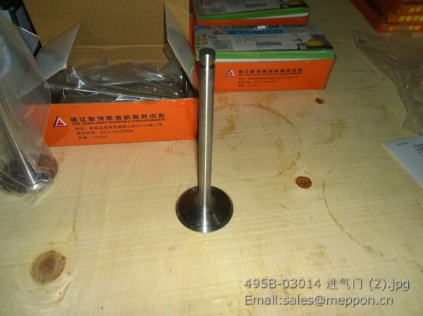 495B-03014 xinchai valve in