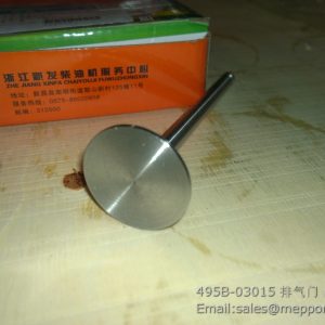 495B-03015 valve ex xinchai spare parts