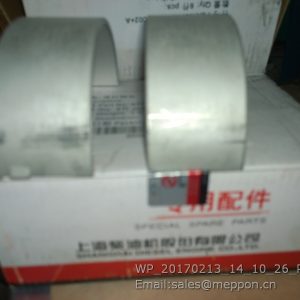 A771Z-05-002+A ROD BEARING SHANGCHAI