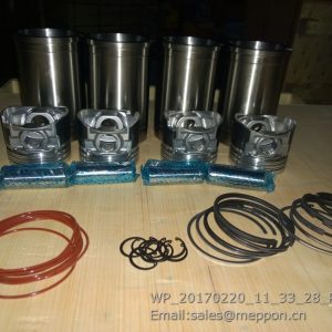 1KQ000-9000200 YCD4K22G-80 YUCHAI CYLINDER KITS