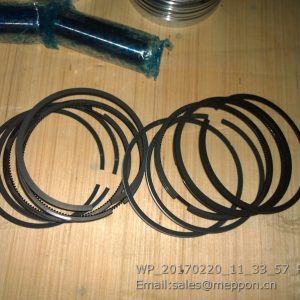 1BQ00-1004016 YUCHAI PISTON RING