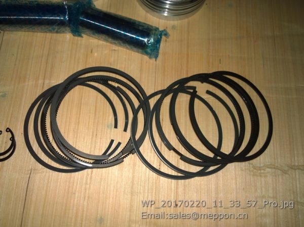 1BQ00-1004016 YUCHAI PISTON RING