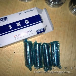 1AQ000-1004019 YUCHAI PISTON PIN