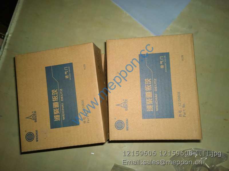 12159606 12159608 weichai valve in,valve ex