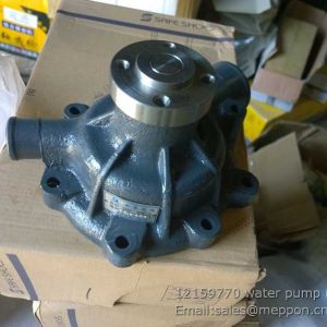 12159770 water pump 4110000909119
