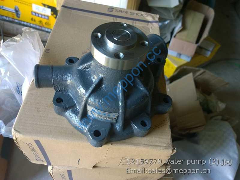 12159770 water pump 4110000909119