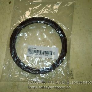 12189888 OIL SEAL WEICHAI DEUTZ 4110000846035