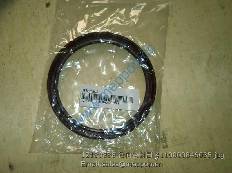 12189888 OIL SEAL WEICHAI DEUTZ 4110000846035