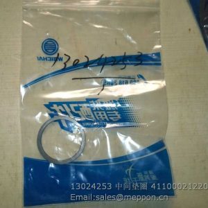 13024253 WEICHAI WASHER 4110002122048