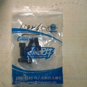 13026585 WEICHAI SCREW 4110001525008