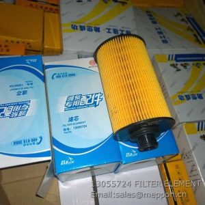 13055724 FILTER ELEMENT weichai 860131751 4110001948041 53C0859 4110001948041F