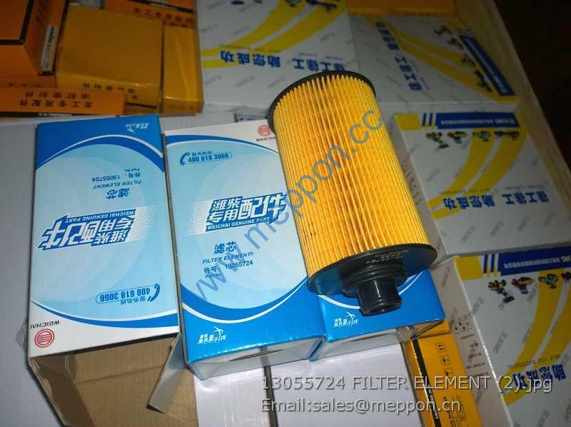13055724 FILTER ELEMENT weichai 860131751 4110001948041 53C0859 4110001948041F