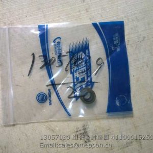 13057039 WEICHAI WASHER 4110001525019