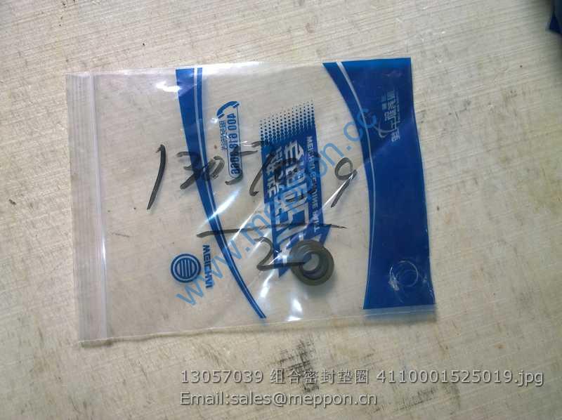 13057039 WEICHAI WASHER 4110001525019