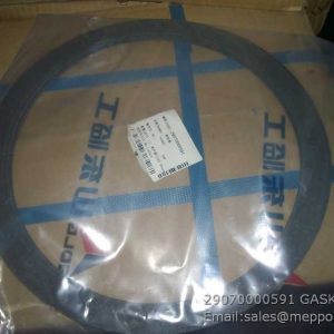 29070000591 GASKET ZF