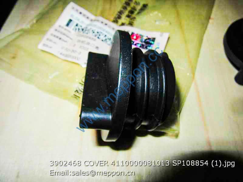 3902468 COVER 4110000081013 SP108854