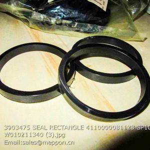 3903475 SEAL RECTANGLE 4110000081123 SP105778 W010211340