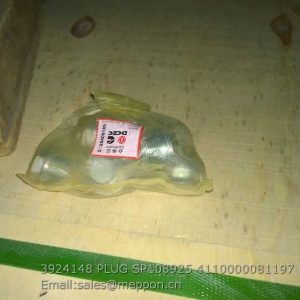 3924148 PLUG SP108925 4110000081197