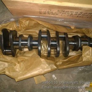 3965010 crankshaft cummins