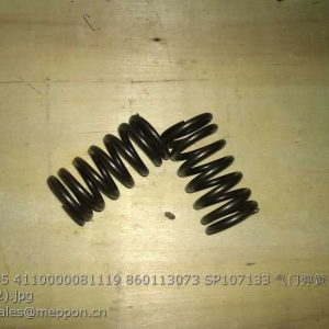 3991085 4110000081119 860113073 SP107133 spring valve