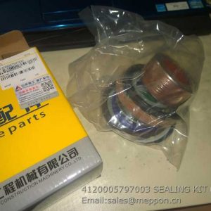4120005797003 SEALING KIT SDLG