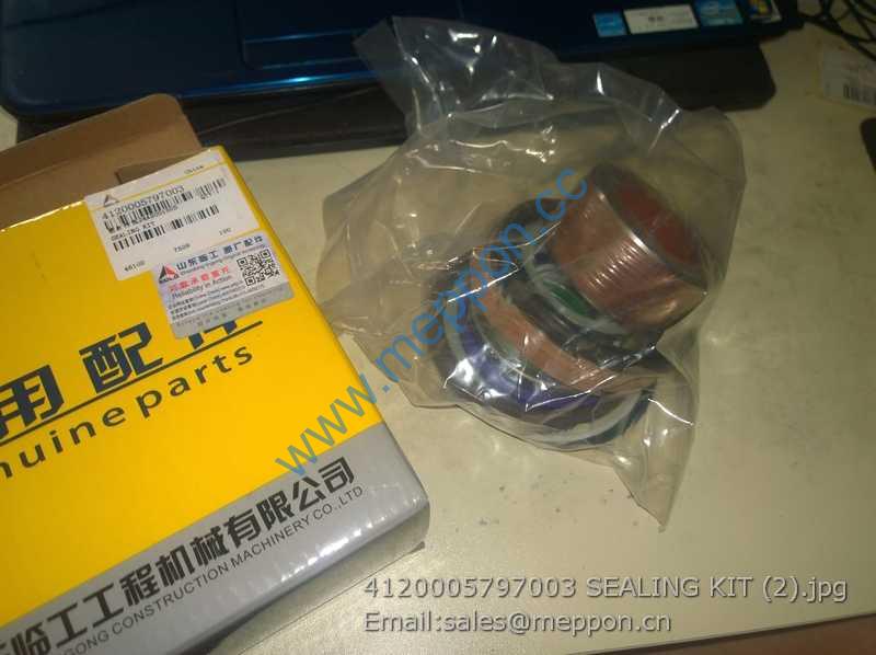 4120005797003 SEALING KIT SDLG