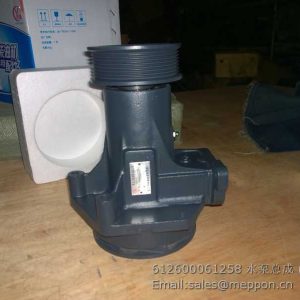 612600061258 WEICHAI WATER PUMP