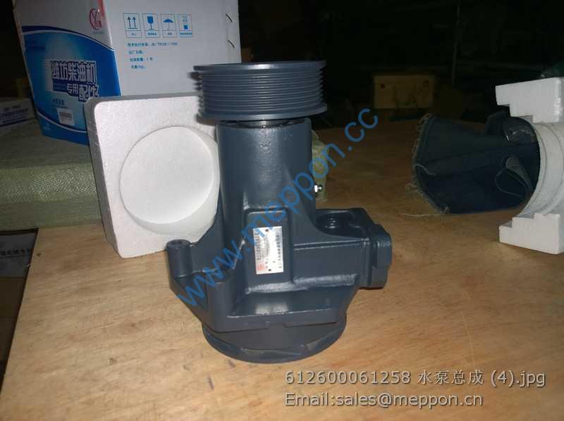 612600061258 WEICHAI WATER PUMP