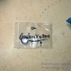 612600080200 SEAL RING WEICHAI